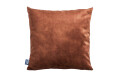 poddo velvet brown3